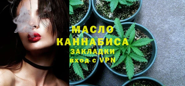 гашик Кулебаки