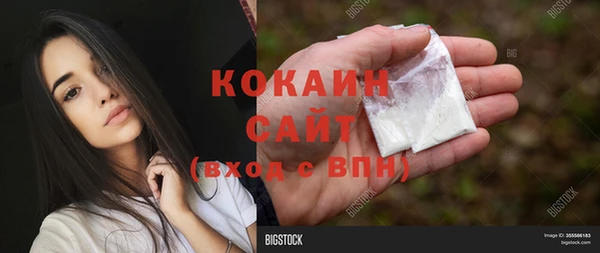 гашик Кулебаки