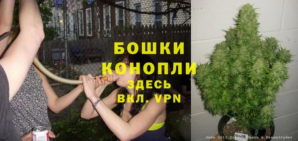 гашик Кулебаки