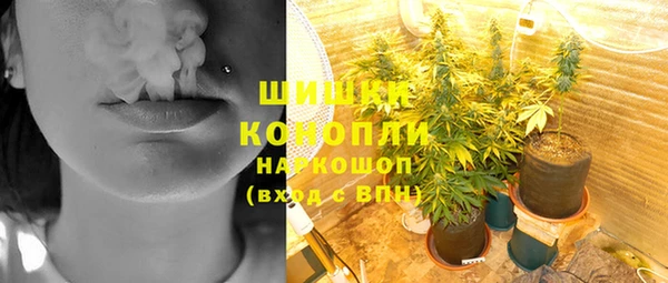 гашик Кулебаки