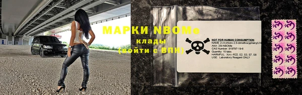 гашик Кулебаки