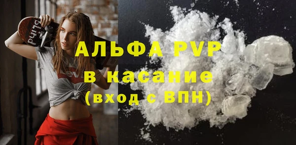 гашик Кулебаки