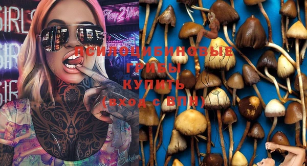 каннабис Куйбышев